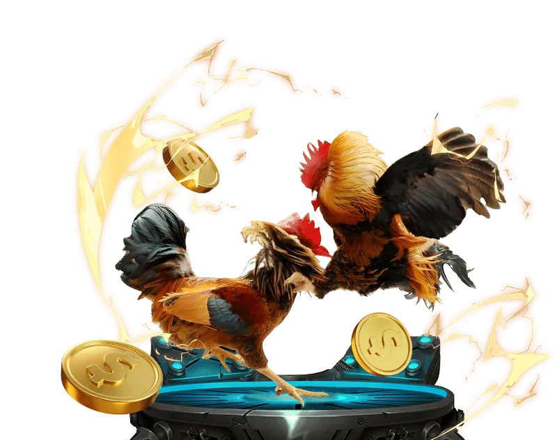 Biểu tượng cookie hiệu suất